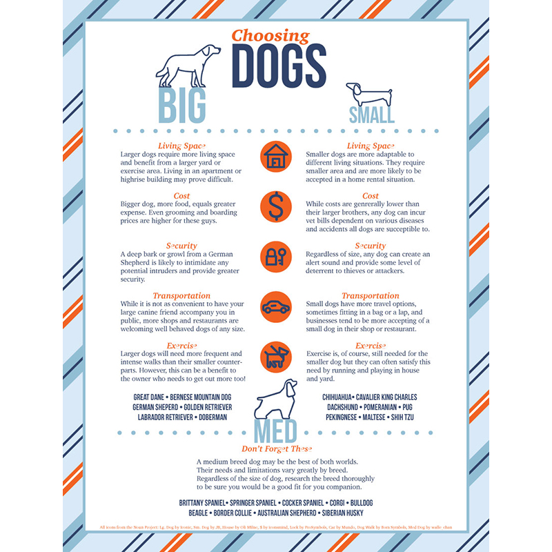 Dog Info Sheet