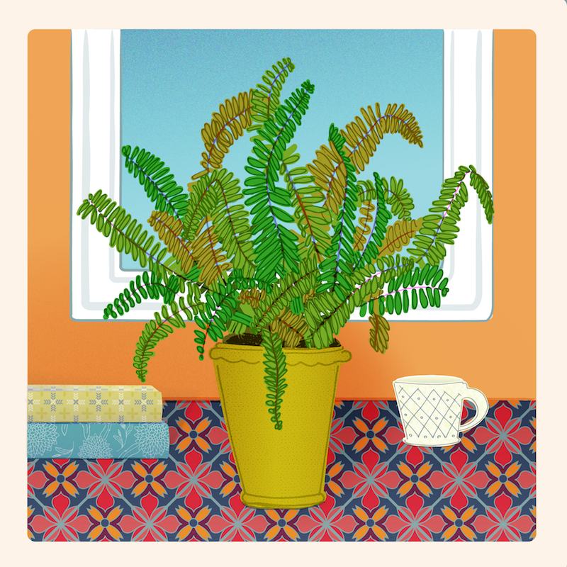 Interior Still with Fern