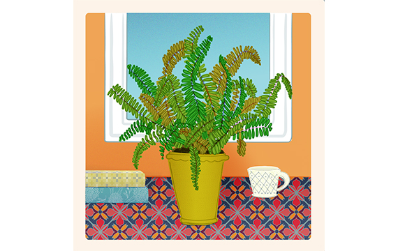 Fern Room Illustration