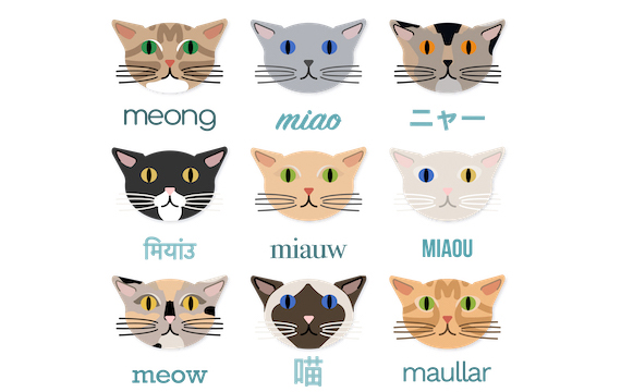 vector cat faces