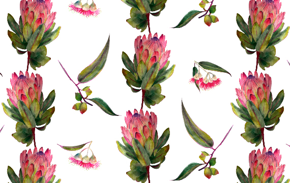Protea pattern